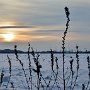 Au beau mitan de l'hiver, Notre-Dame-de-la-Paix