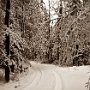 Décembre 2012: lendemain de tempête