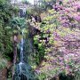 <p align="left">Le Japonese Sunken Gardens, un petit secret bien gardé, un jardin privé ouvert au public.