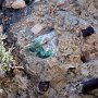 <p align="left">C'est vert? Du jade? Comme ça dans la roche, à côté d'un stationnement? C'est possible, à Bisbee, il suffit de se pencher pour trouver des pierres.