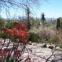<p align="left">Les fleurs n'étaient pas à leur maximum, mais tout de même quelques couleurs pour agrémenter la visite.
