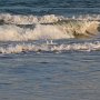 <p align=left>Les vagues au coucher de soleil