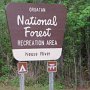 <p align=left> Cette année, on va d'abord en forêt, en Caroline du Nord, un peu au sud de New-Bern