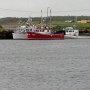 <p align=left>Quelques bateaux de pêche à Rivière-au-Tonnerre.