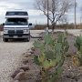 <p align="left">Bon, d'accord au sud du Texas, les arbres se raréfient, les RV park ont d'autant plus l'air de stationnement, mais là, à Balmorhea, au Saddlebach Mountain, les propriétaires ont bien aménagé les emplacements. On n'est pas tassé sur le voisin. Comme premier décor du sud, nous étions ravies.<br />