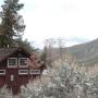 le matin, au camping de Mammoth Hot springs