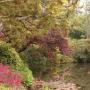 Butchard Gardens, île de Vancouver