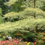 Butchard Gardens, île de Vancouver