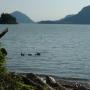 vue du camping Porteau Cove entre Vancouver et Whistler