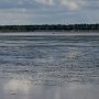 <p align=left>Côté baie, au camping de Val-Comeau, Nouveau-Brunswick, le long de la rivière Tracadie, les hérons sont rois.