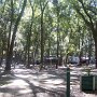 Tout le camping est sous les arbres