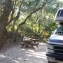 Halte d'une nuit au Anastasia State park, tous les emplacements offrent cette intimité