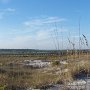 De longs quai de bois permettent l'accès à la mer tout en sauvegardant la végétation des dunes