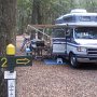 On remonte au nord, emplacement H2 au camping de Jekyll Island, tranquille en cette période de l'année