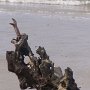 comme un voilier échoué sur la plage
