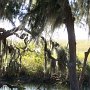 Mon sud à moi