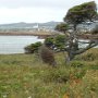 La municipalité de Fatima derrière, décor typique des îles.