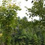 <p align=left>Près du centre d'art, un père surveille son jeune fils pêcheur.