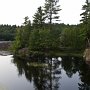 <p align=left>Au retour de Killarney, faute de photographier dans le parc... Je bâtirais bien un petit chalet, à côté de la table à pique-nique. 
