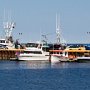 <p align=left>Une partie du port de caraquet, Nouveau-Brunswick.